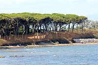 i torre astura (4).JPG