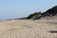 l sabaudia (7).JPG