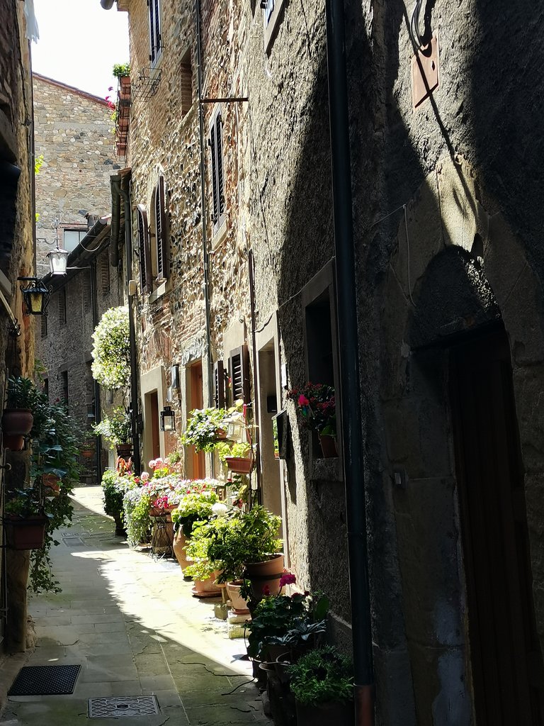 5 anghiari (15).jpg