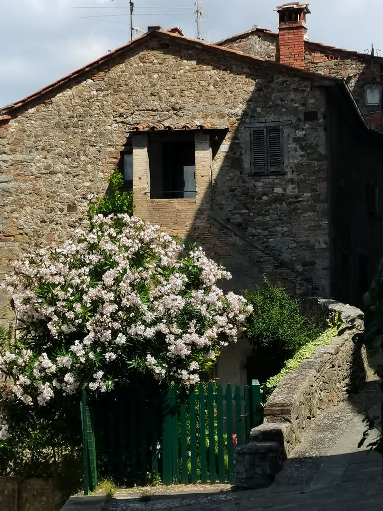5 anghiari (20).jpg