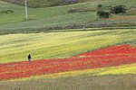 10 castellucio (27).JPG