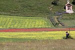 10 castellucio (30).JPG