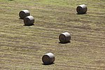 10 castellucio (49).JPG