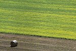 10 castellucio (50).JPG