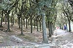 14 fermo (42).JPG
