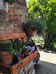 5 anghiari (18).jpg