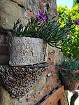 5 anghiari (19).jpg