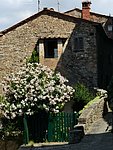 5 anghiari (20).jpg