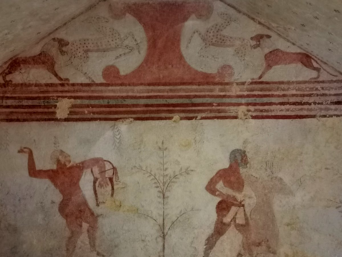 h4 tarquinia (38).jpg