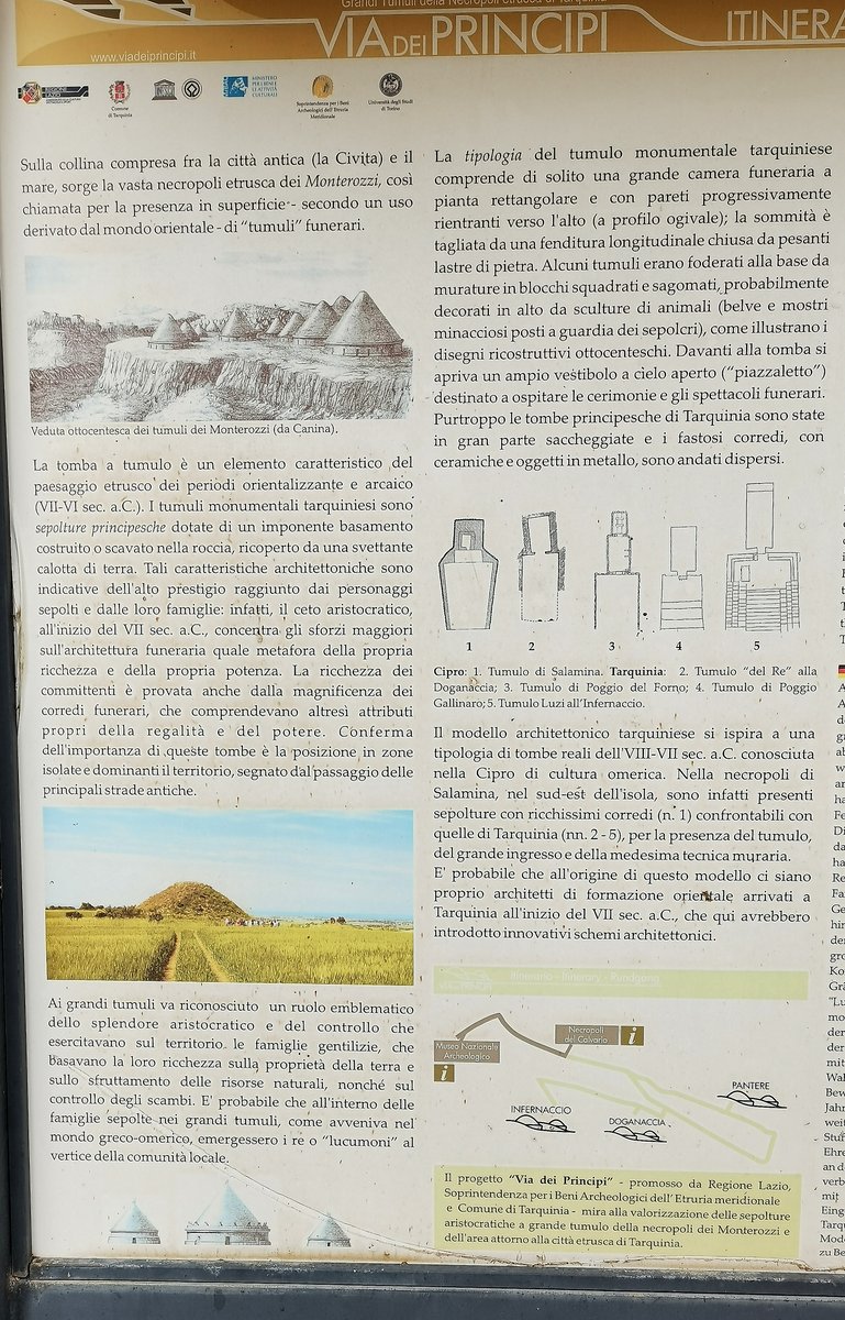 h4 tarquinia (6).jpg
