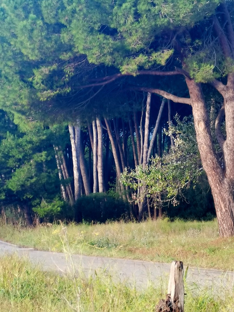 i golfo di baratti (13).jpg