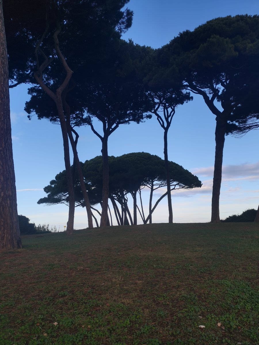 i golfo di baratti (18).jpg