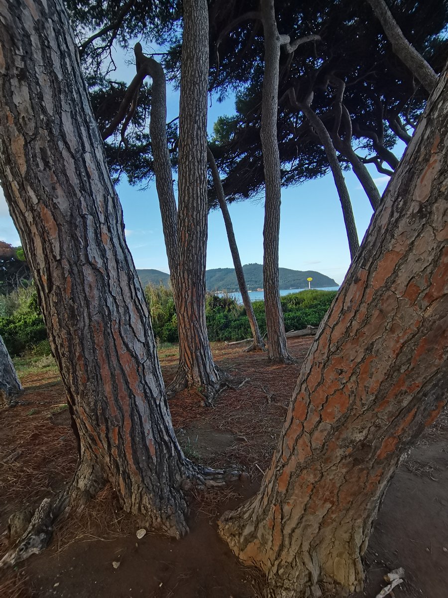 i golfo di baratti (7).jpg