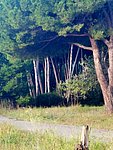 i golfo di baratti (13).jpg