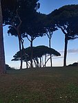 i golfo di baratti (18).jpg