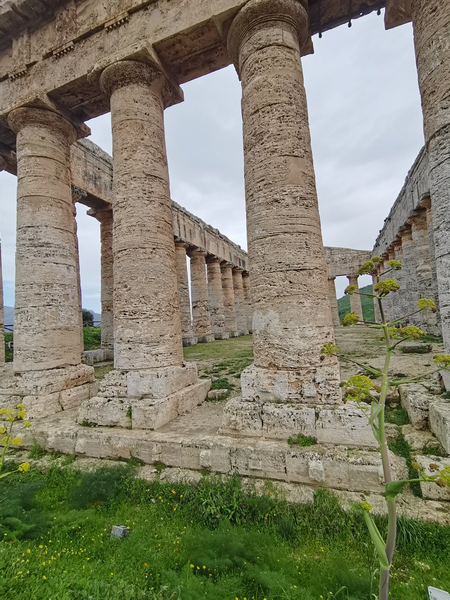 d1 Tempio di Segesta (5).jpg