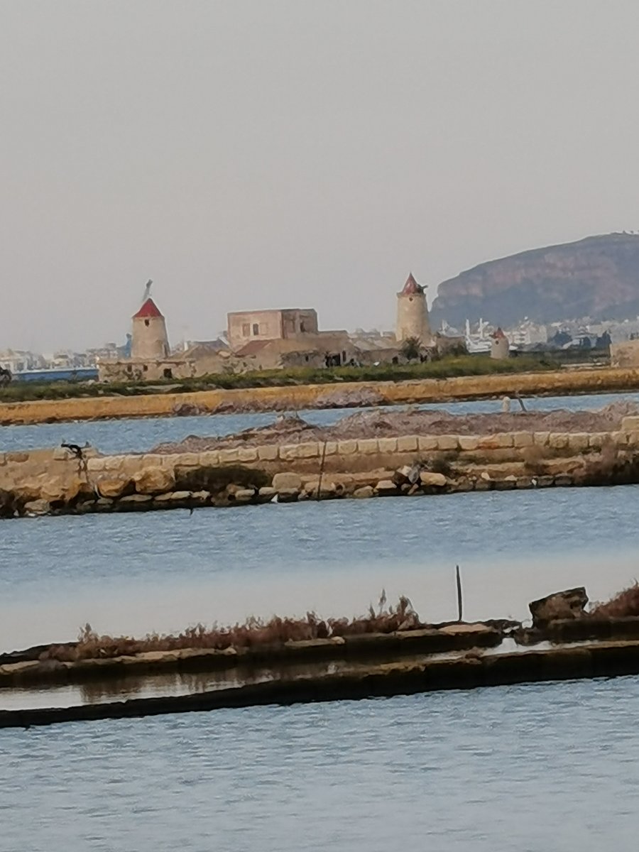 f saline trapani (3).jpg