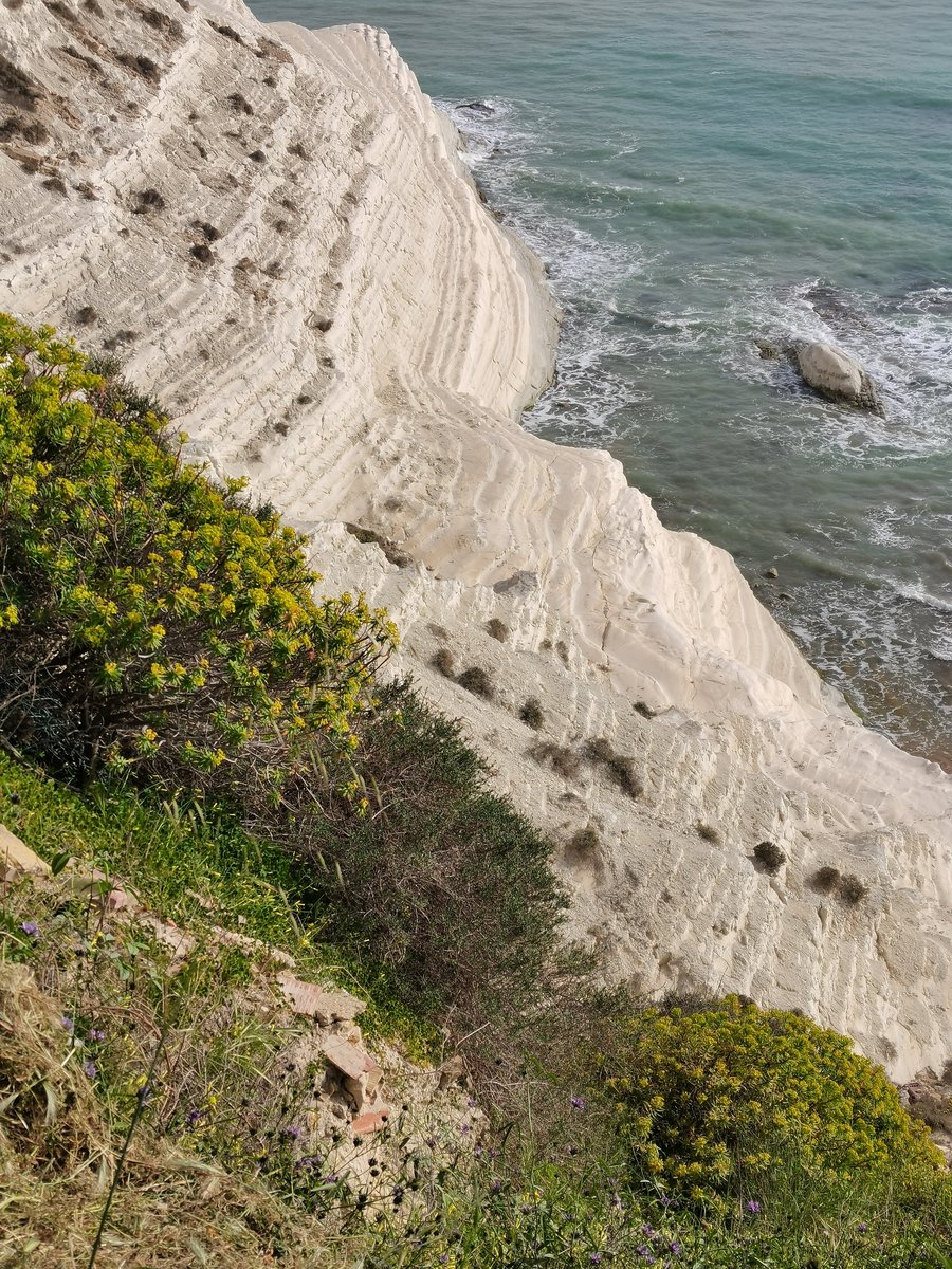 m realmonte - la scala dei turchi (22).jpg