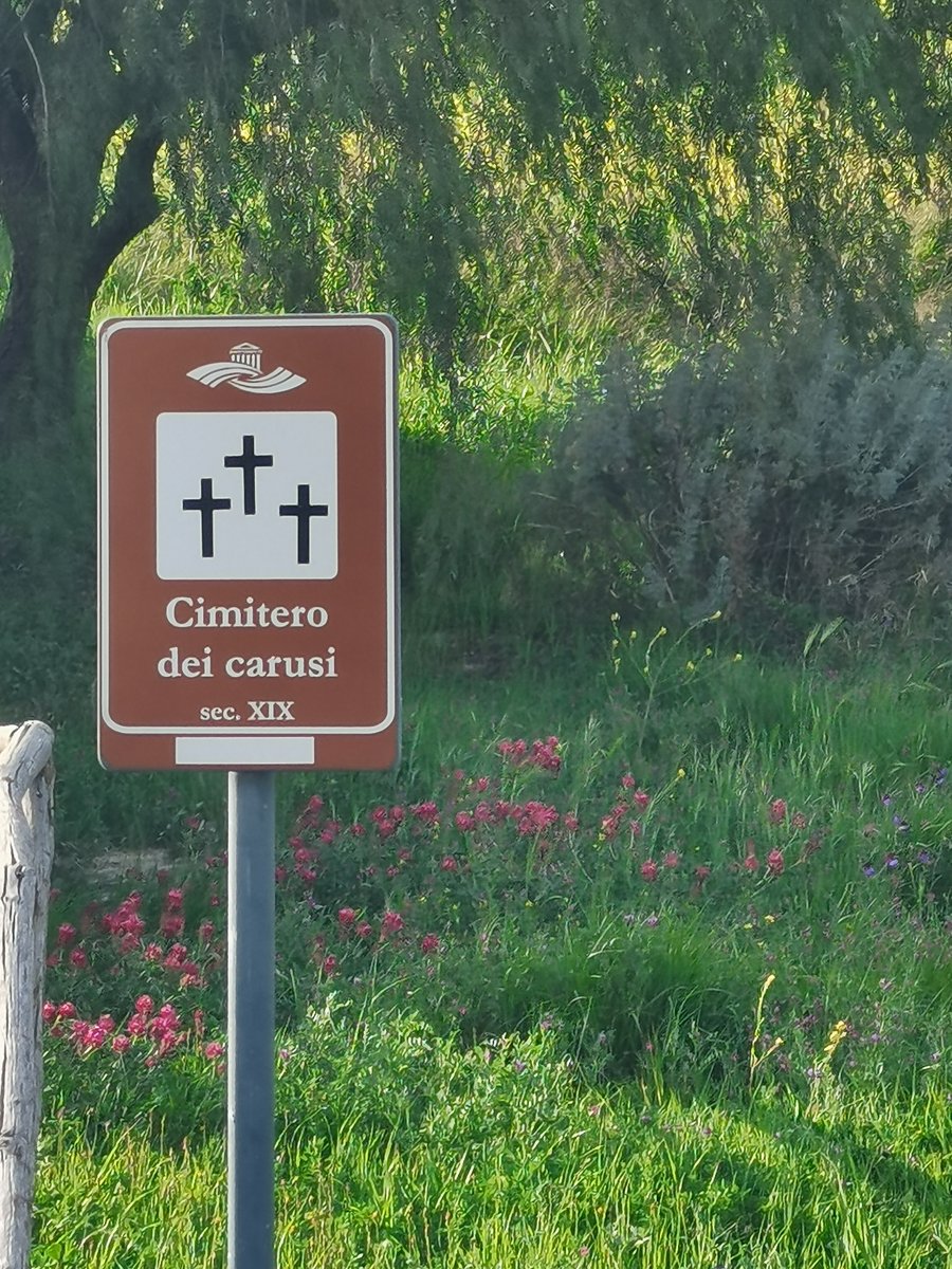 n2 cimitero dei carusi (1).jpg