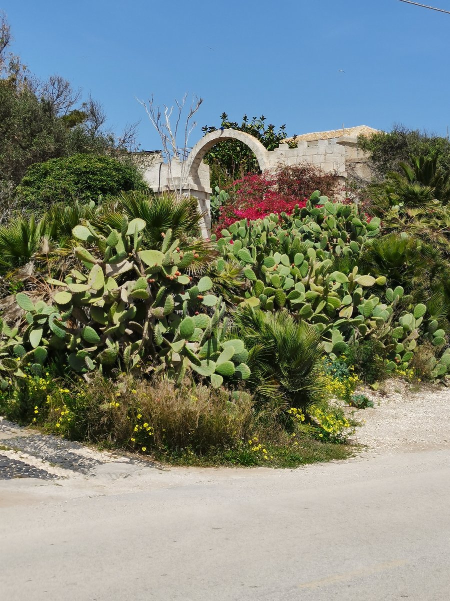 q3 porto palo-capo passero (11).jpg