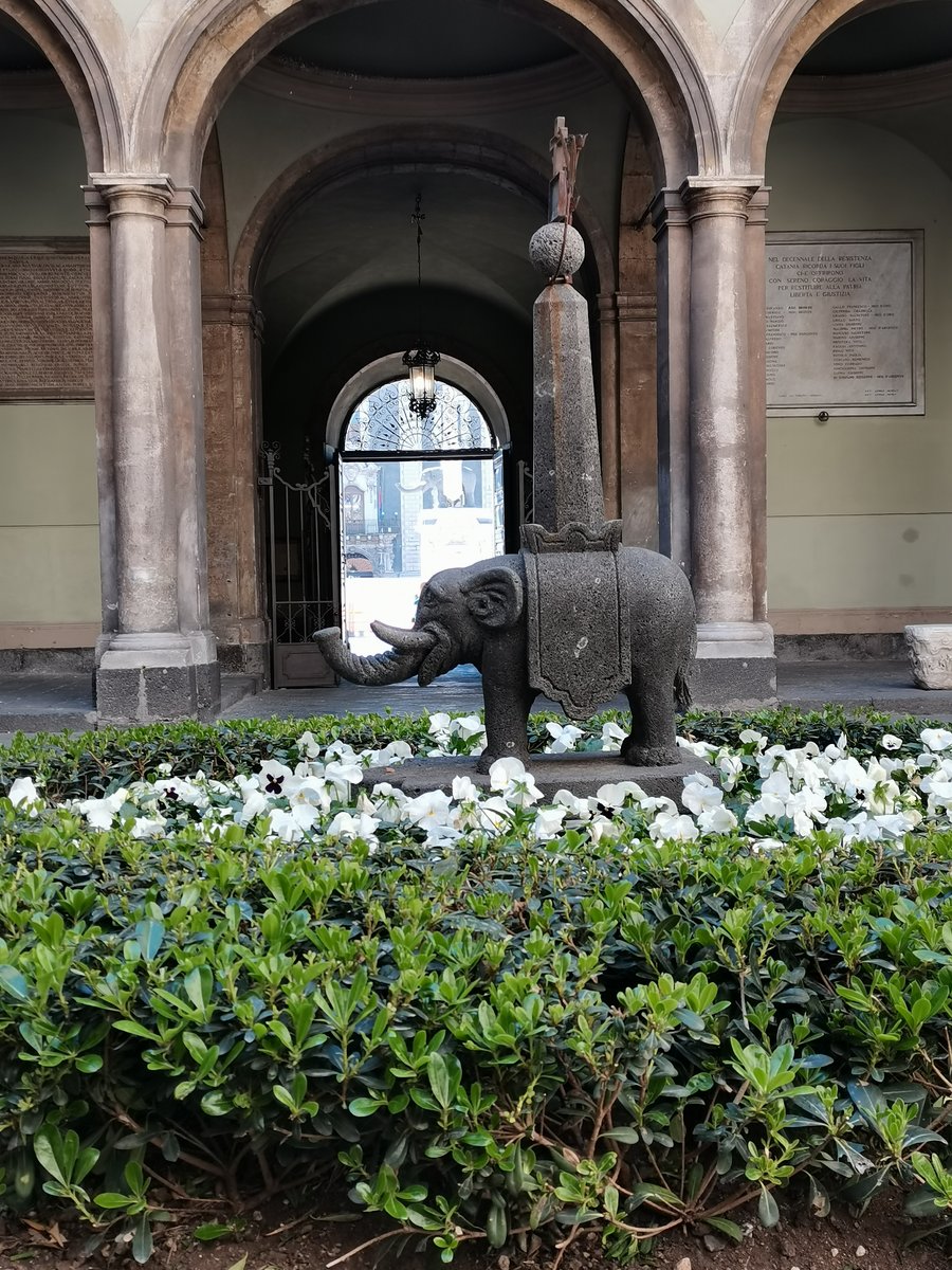 s catania palazzo de elefanti(3).jpg