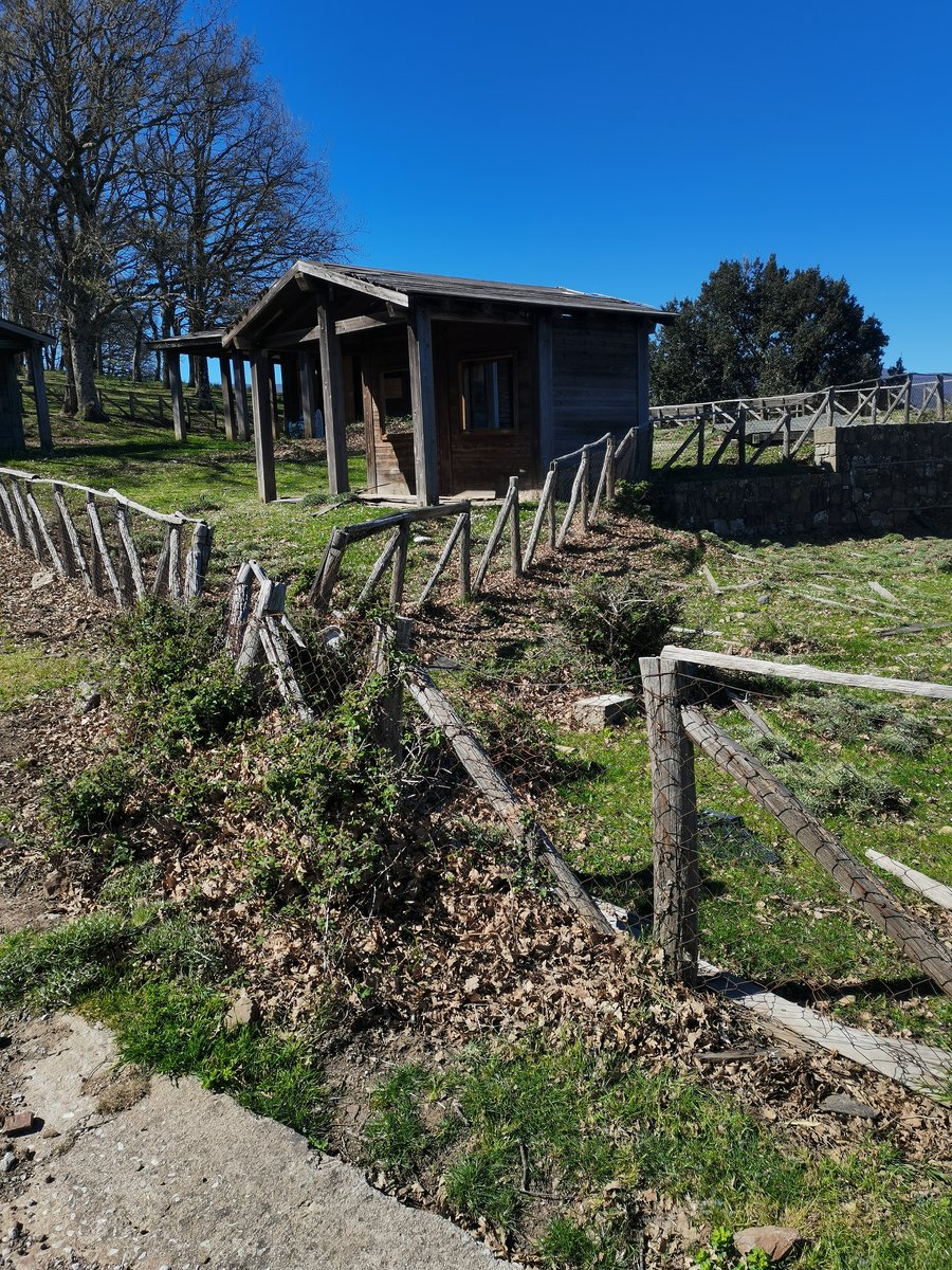 s3 parco madonie (11).jpg