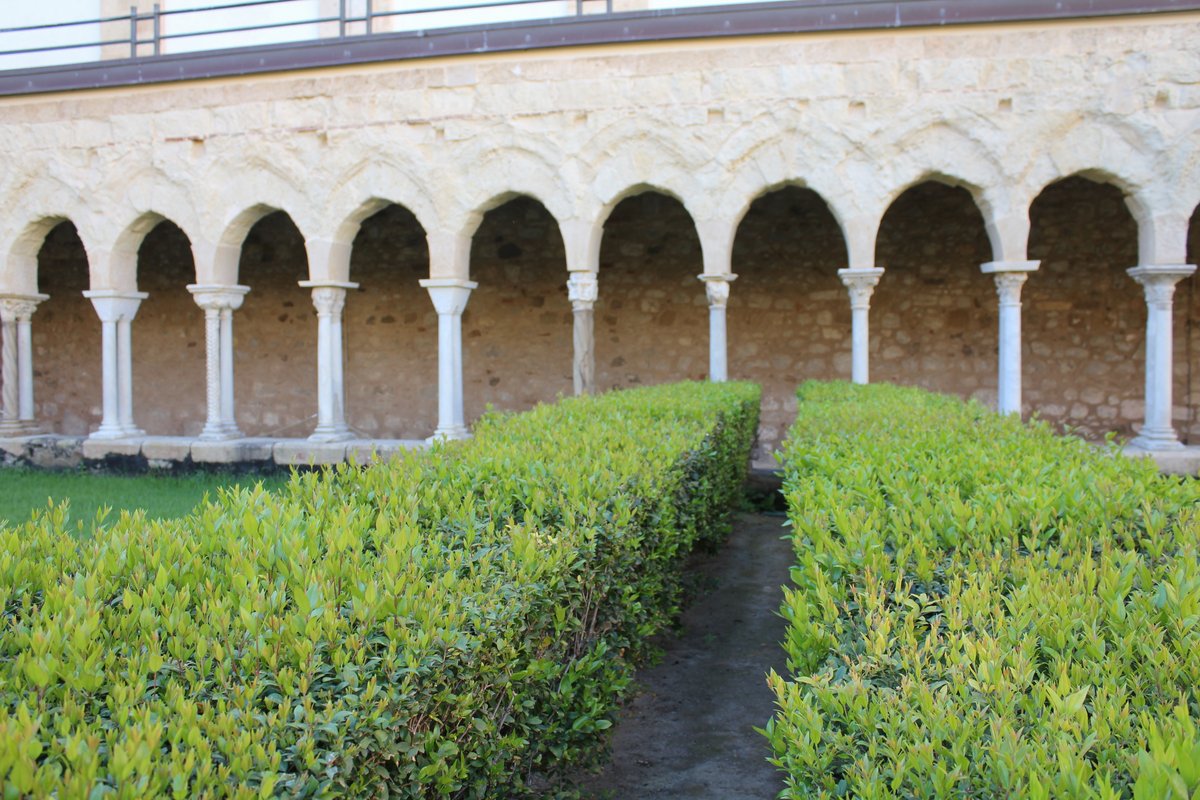 t cefalu - catterdrale, museo diocesano e chiostro (81).JPG