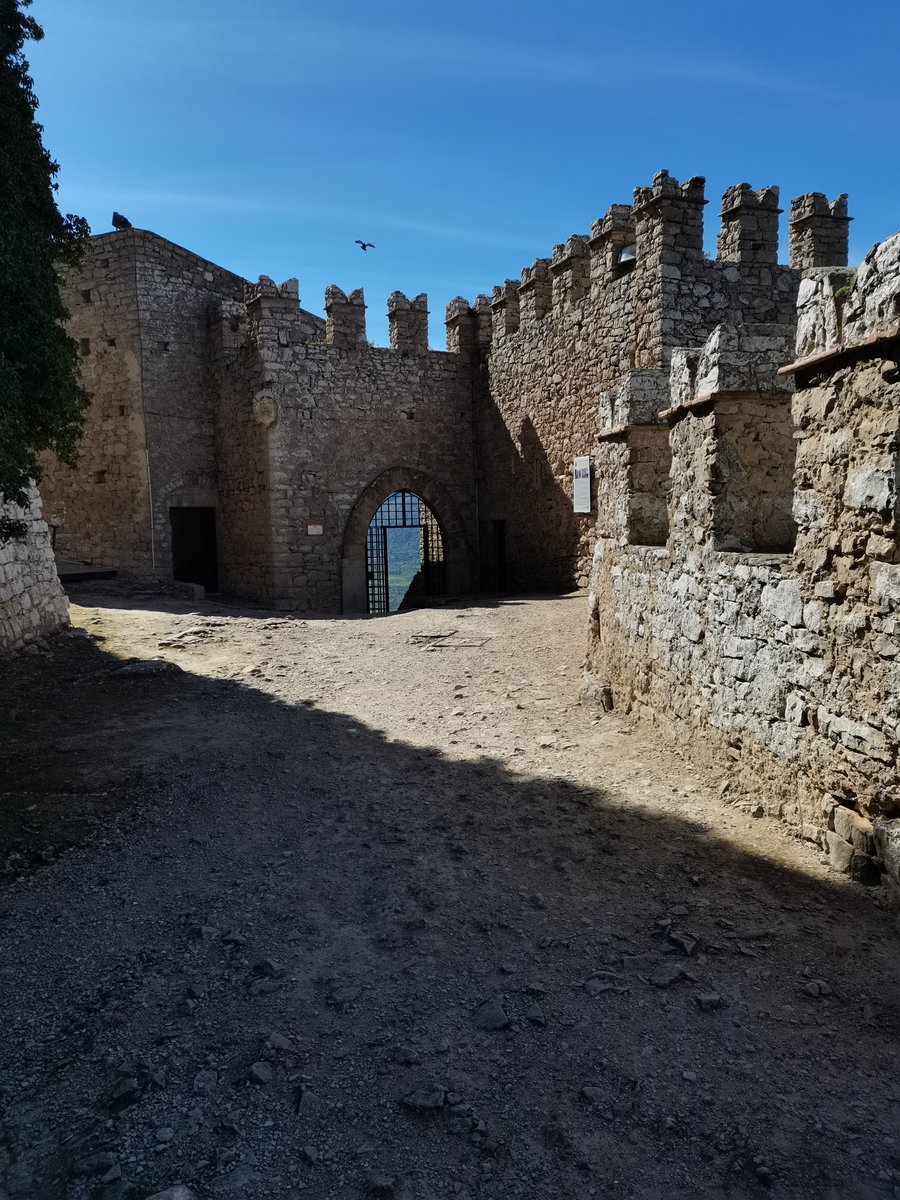 t1 caccamo (42).jpg