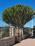e san vito lo capo (24).jpg