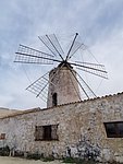 f saline trapani (2).jpg