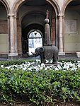 s catania palazzo de elefanti(3).jpg