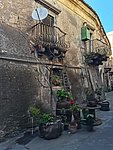 s2 bronte (12).jpg
