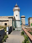 z1 capo zafferano (22).jpg