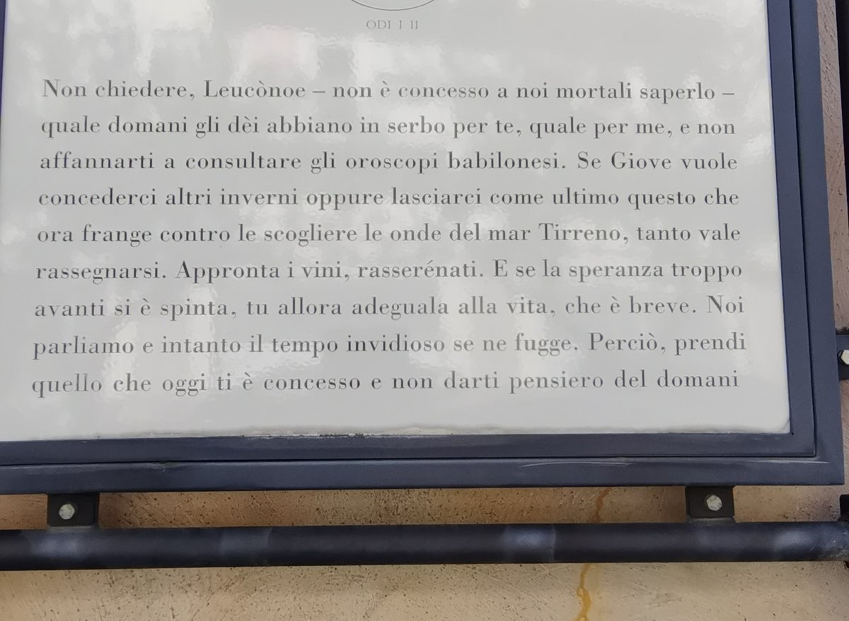 13 venosa (10).jpg