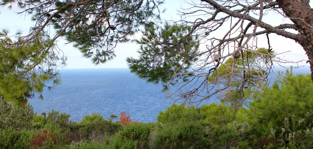 9 isole tremiti-san domino (14).JPG