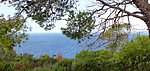9 isole tremiti-san domino (14).JPG