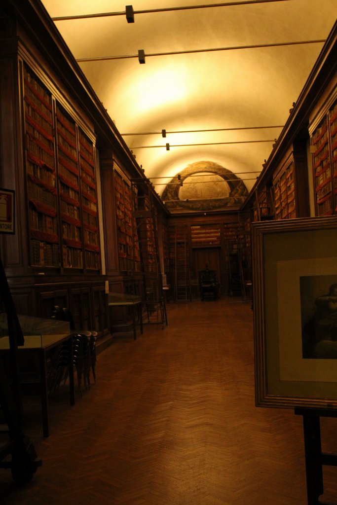 parma - complesso munumentale della Pilotta (21).JPG