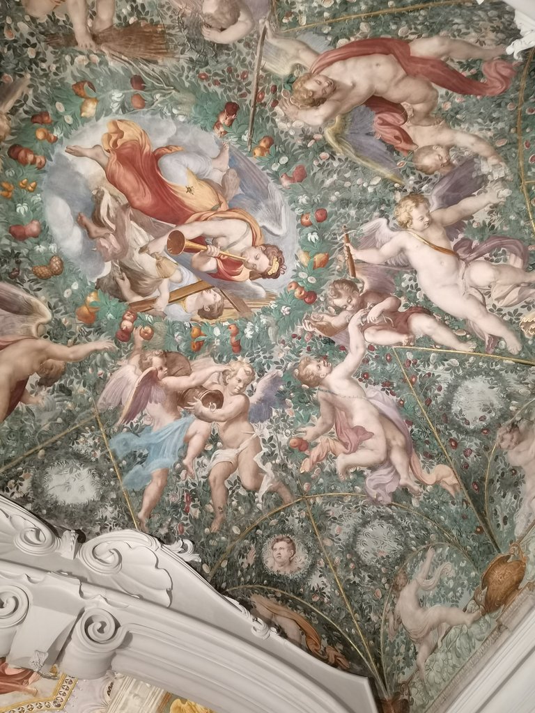 sala baganza - rocca di (4).jpg