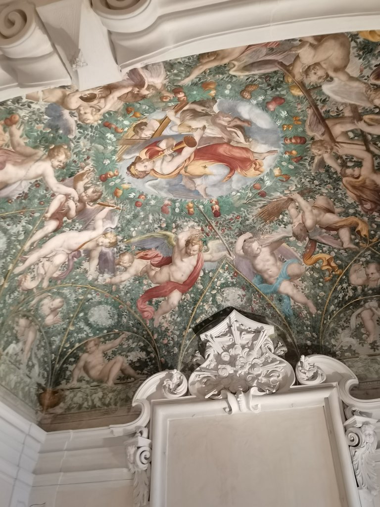 sala baganza - rocca di (6).jpg