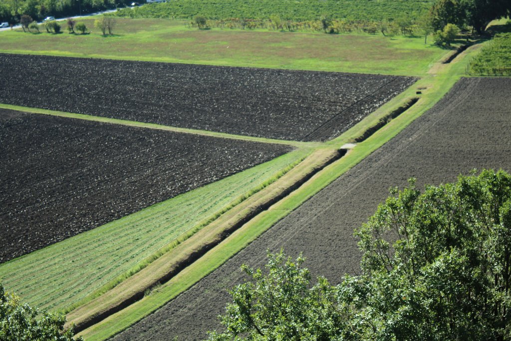 torrechiara - castello di (4).JPG