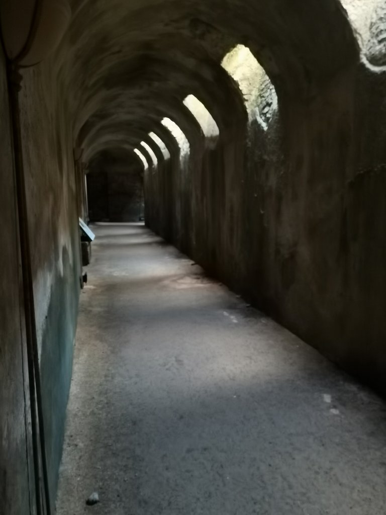 vulci - parco naturalistico-archeologico (38).jpg