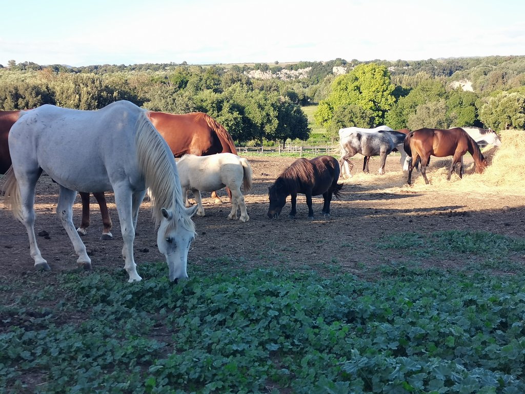 vulci - parco naturalistico-archeologico (6).jpg