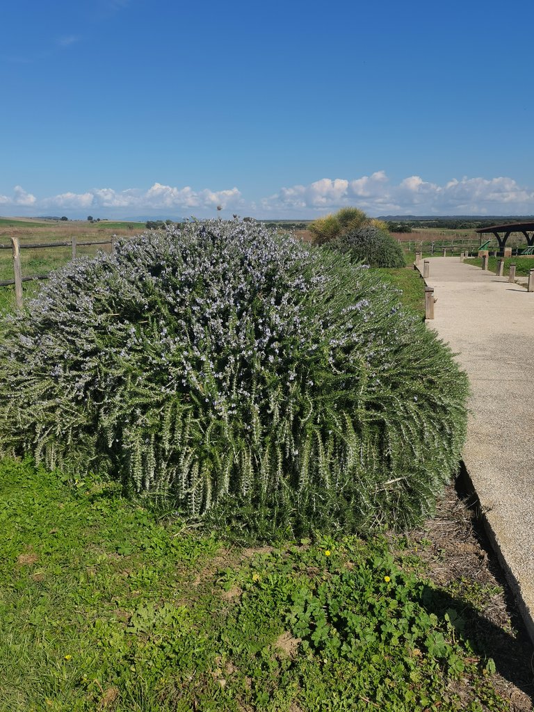 vulci - parco naturalistico-archeologico (83).jpg