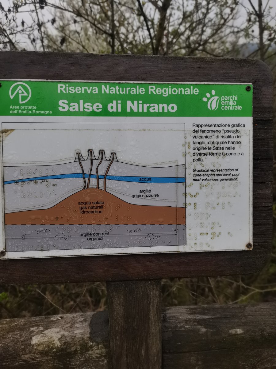 a salse di nirano (3).jpg