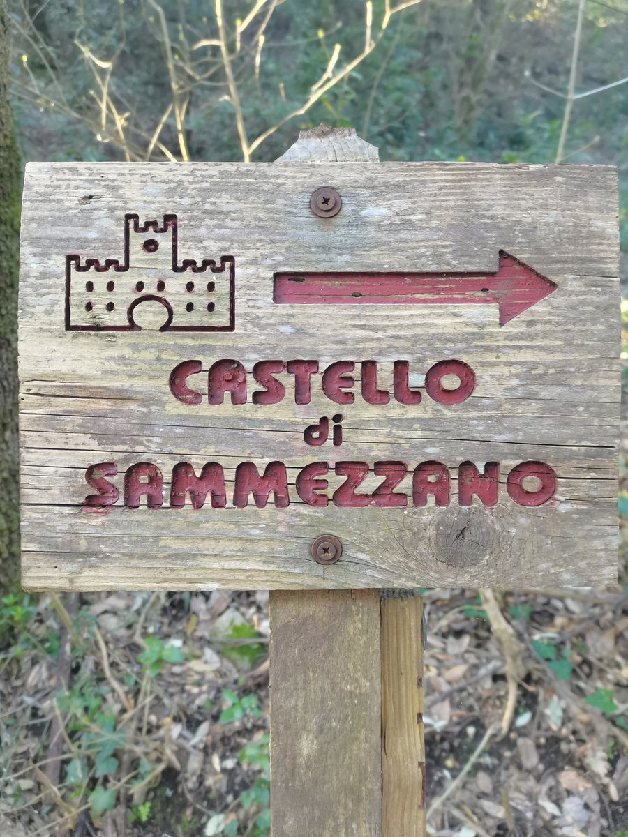 c2 castello di sammezzano (1).jpg