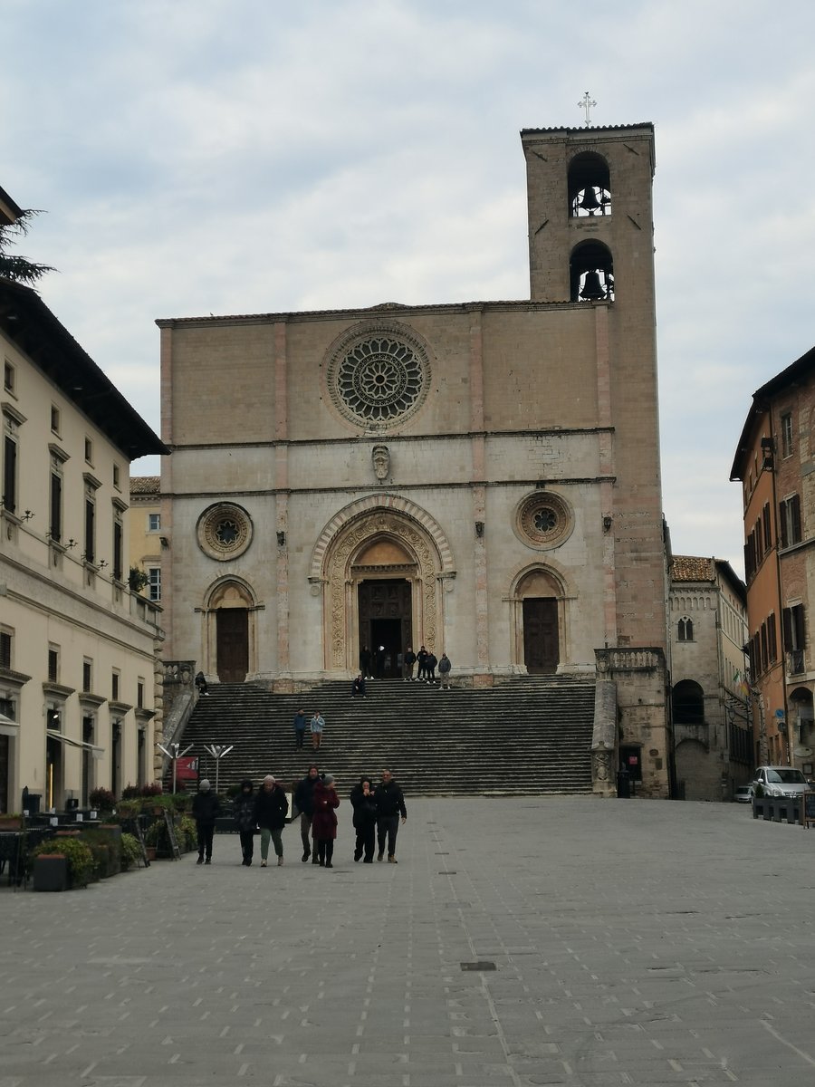 f todi (12).jpg