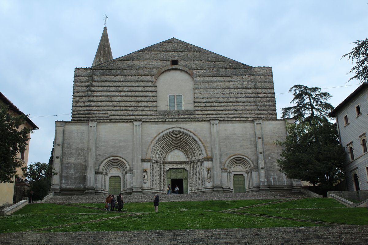 f todi (15).JPG