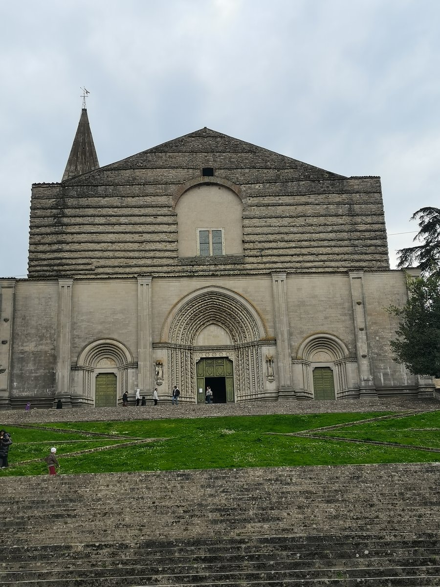 f todi (15b).jpg