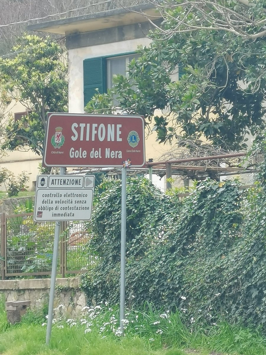 g stifone (2).jpg