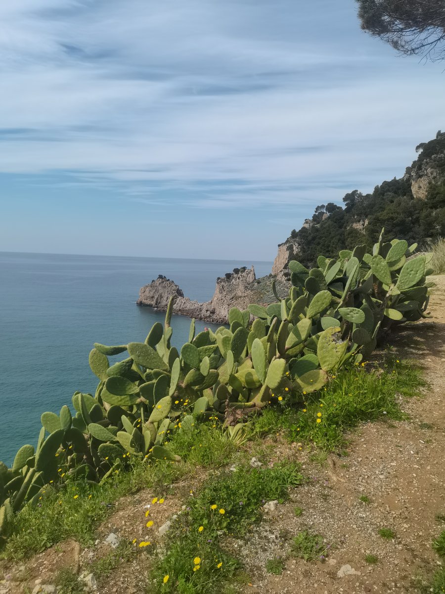 l1 sperlonga (2).jpg